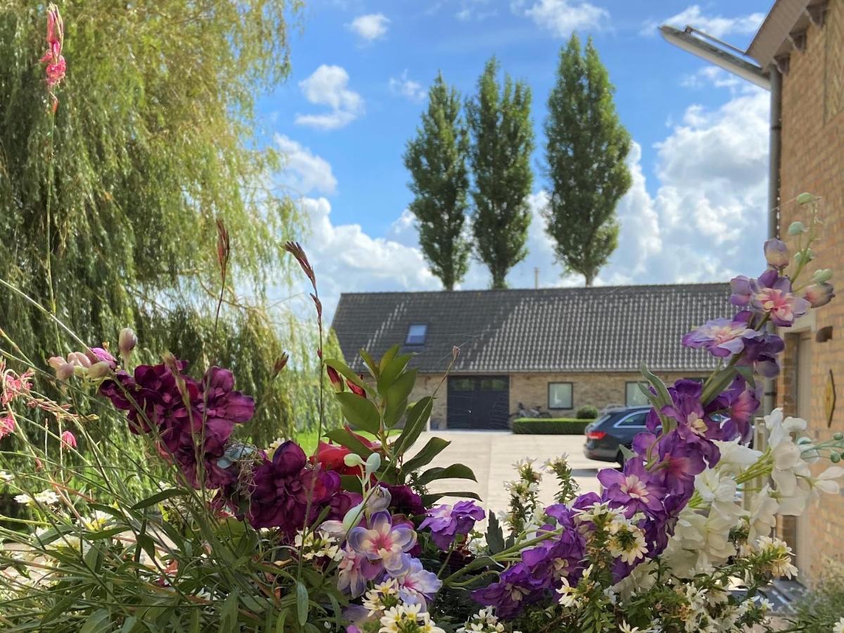 Gastenverblijf 'T Landsheertje Veurne Eksteriør bilde